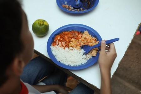 Estudo aponta altas taxas de toxinas fúngicas prejudiciais à saúde em farinha e arroz