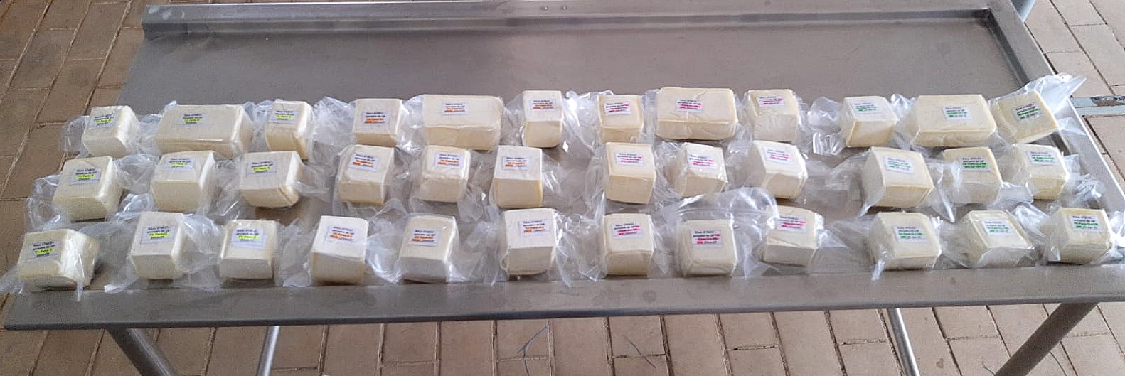 Grupo descobre novos probióticos em queijos artesanais brasileiros