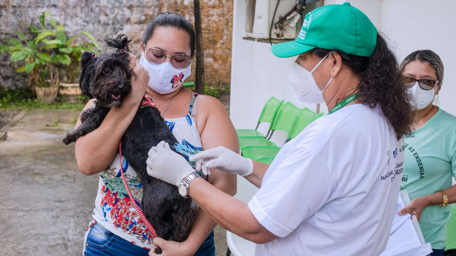 Dia D da vacinação antirrábica animal sábado