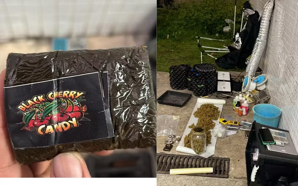 Tráfico de drogas: mulher presa e laboratório encontrado em Salvador