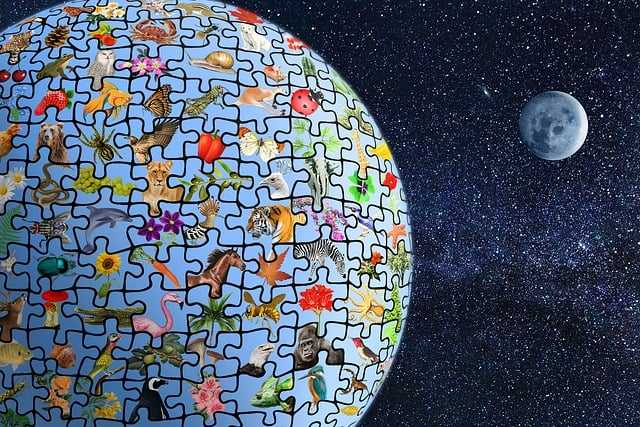 Receba propostas para o edital do programa Biodiversity on a Changing Planet até 5 de setembro