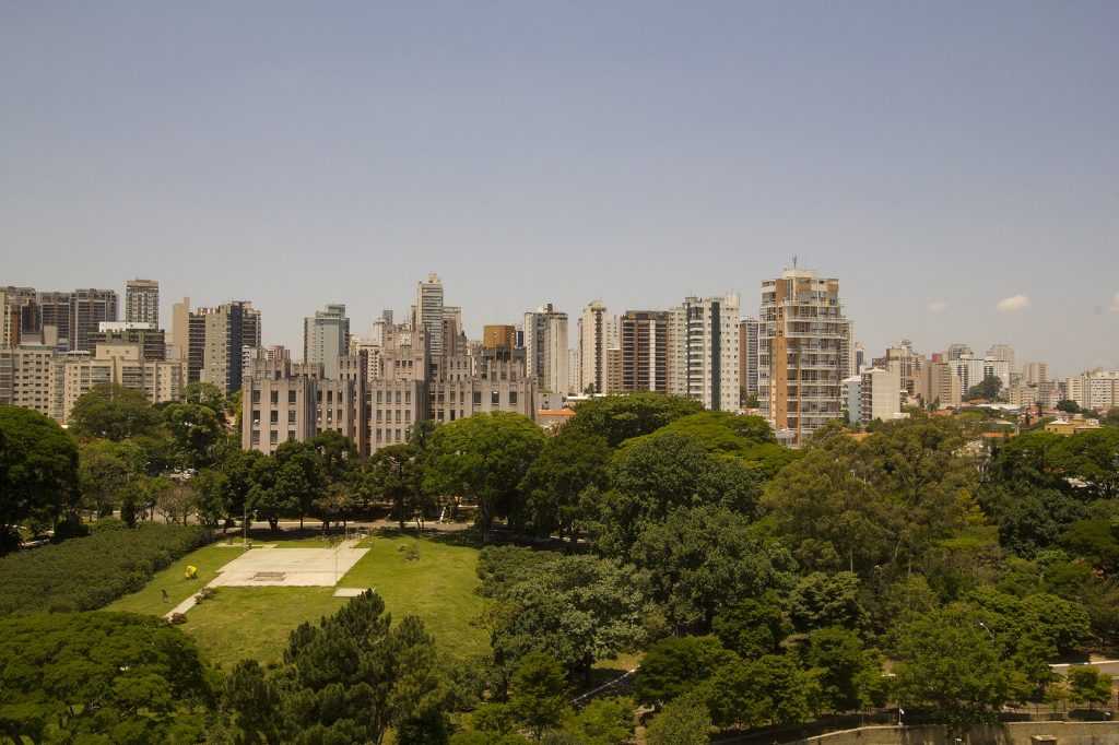 Estudo do Centro de Estudos da Metrópole revela áreas verdes informais em São Paulo: descubra as principais descobertas.