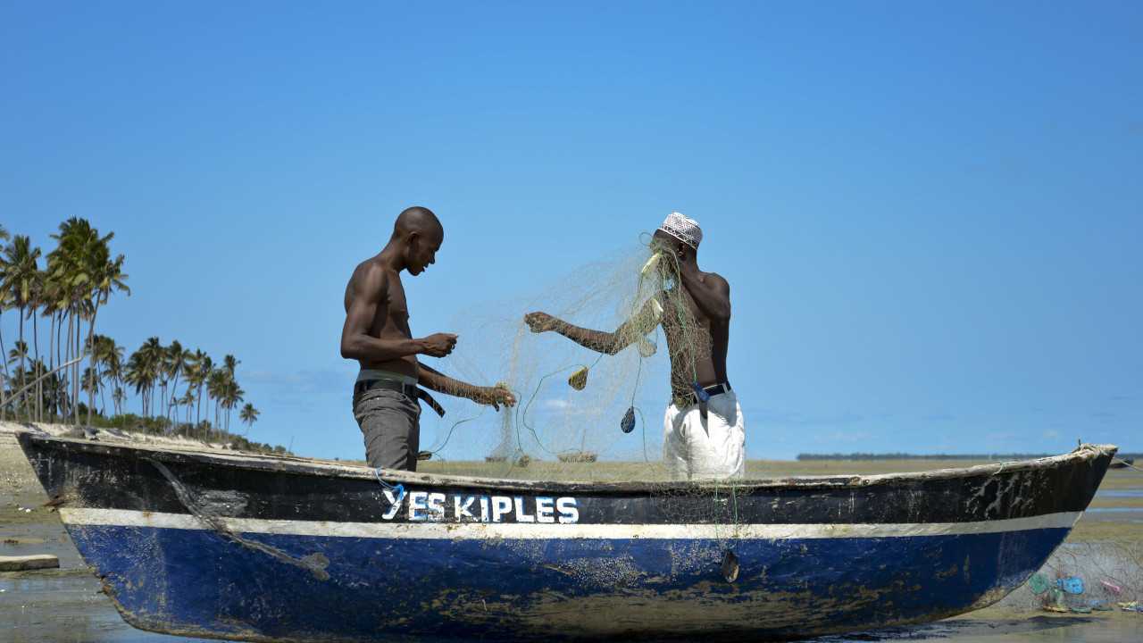 Pesca artesanal em Moçambique envolve 400 mil pessoas