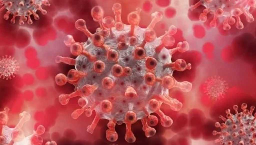 OMS declara o mpox como emergência global de saúde