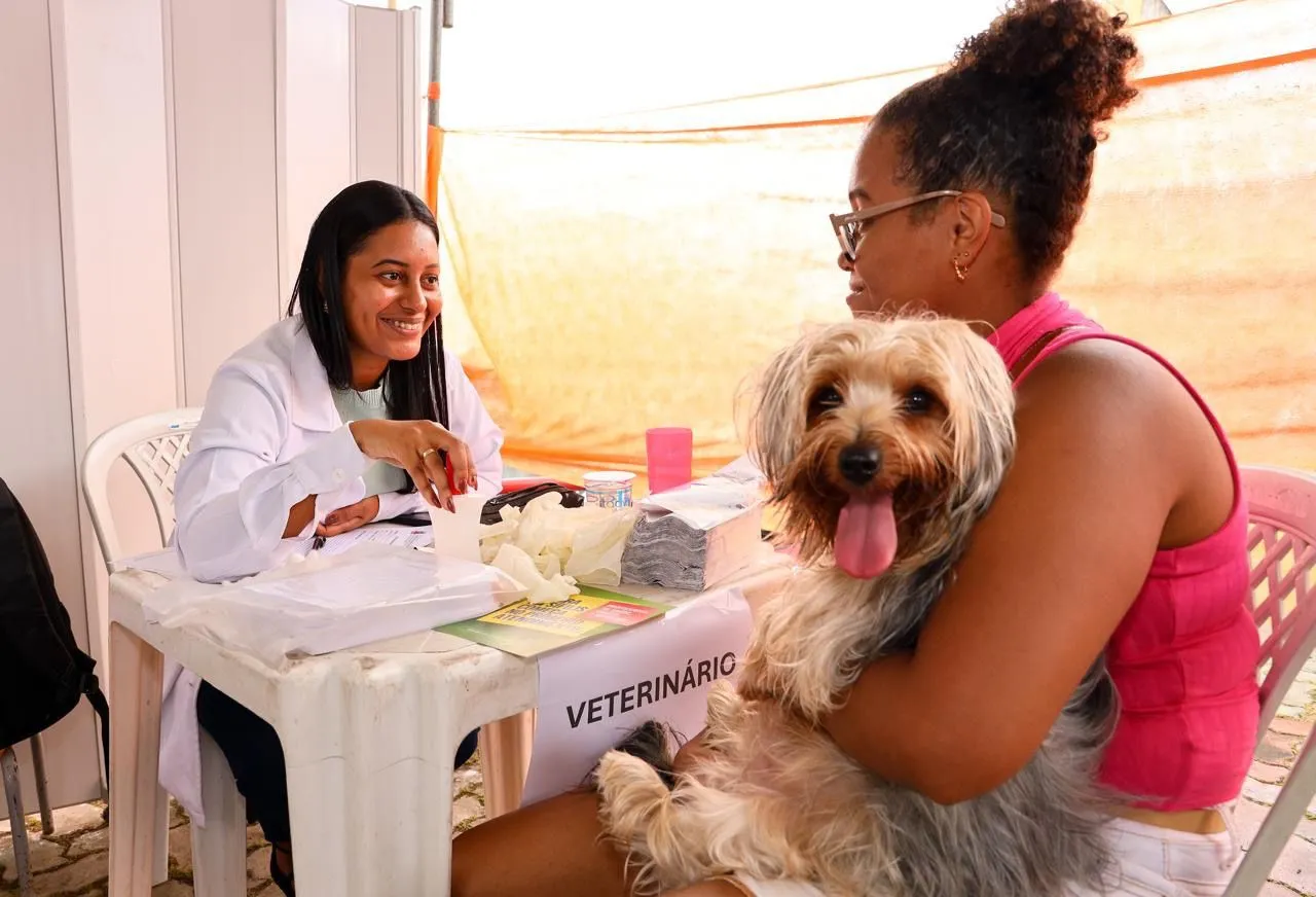 Moradores de Passé em Candeias Contam com Atendimento Veterinário Gratuito