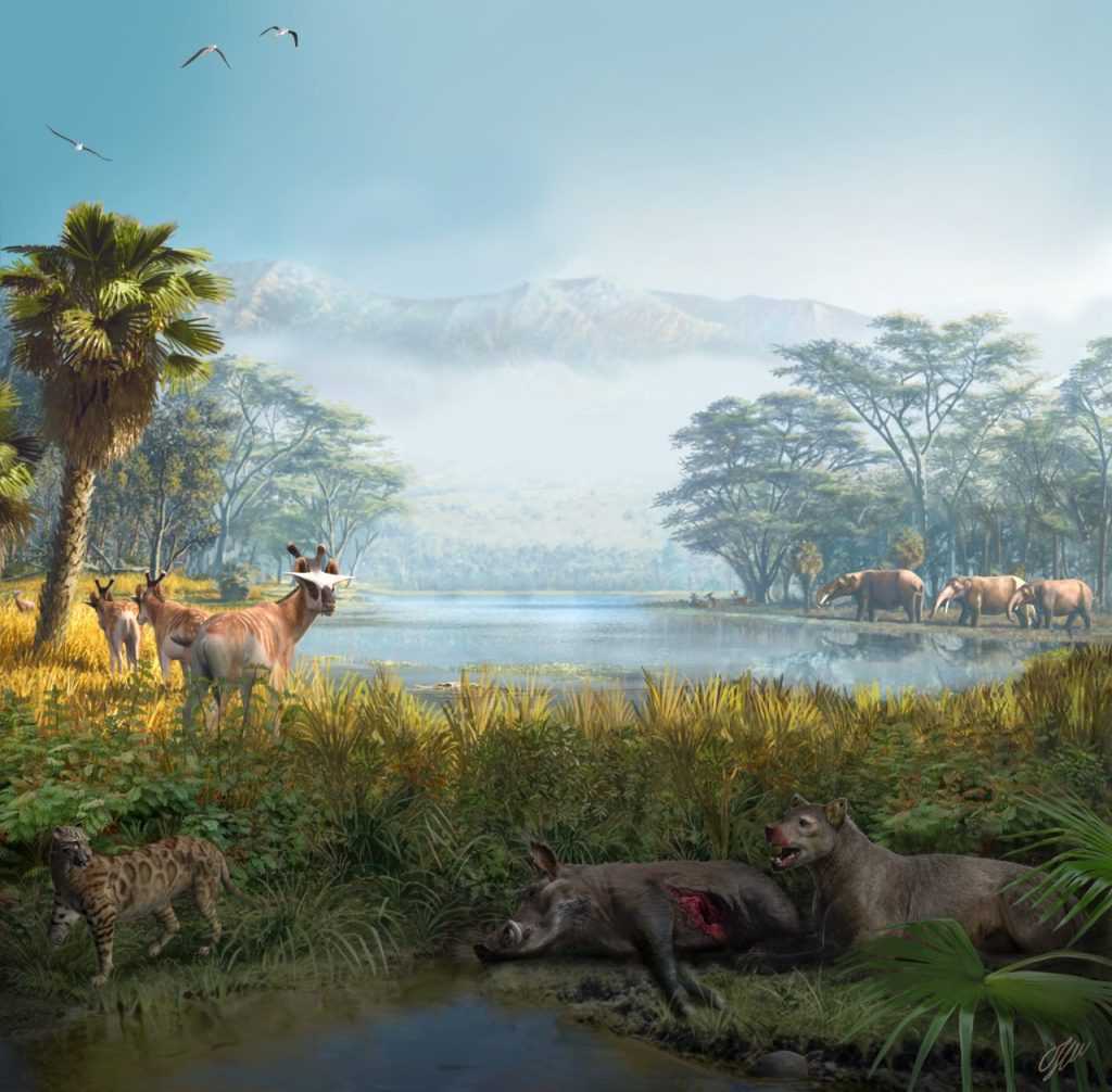 Como o gigantismo dos herbívoros contribuiu para a extinção dos predadores há 15 milhões de anos