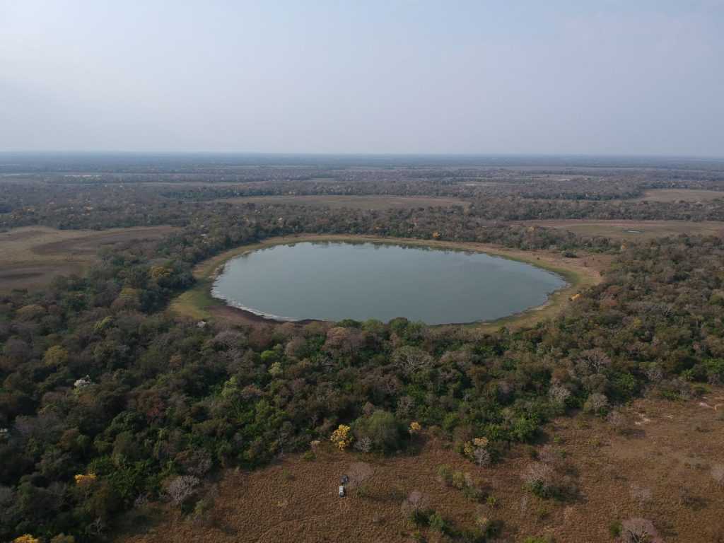 Como as emissões das 'lagoas de soda' do Pantanal impactam a mudança climática: estudo revela dados importantes