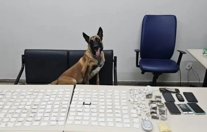 Chefe do tráfico em Monte Santo é abatido em operação da FICCO