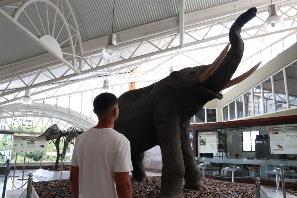 Férias no Museu: MGB tem horário de funcionamento estendido durante o mês de janeiro