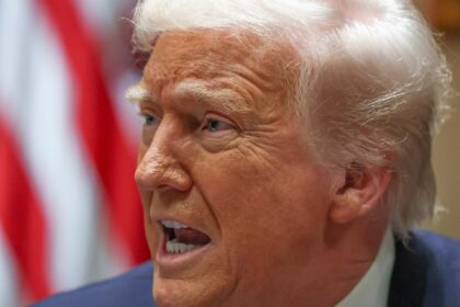 Trump destaca conversa produtiva com premiê canadense em reunião