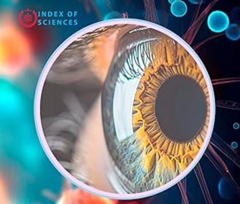 Descobertas Recentes em Retinopatia Diabética: Novos Tratamentos Revelados em Livro Especializado
