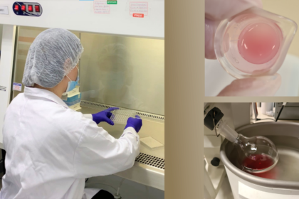 Nanotecnologia: Aumentando os Benefícios das Antocianinas na Pesquisa Científica