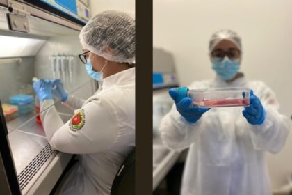 Estudo Revela que o Canabidiol Pode Estimular a Biomineralização dos Dentes