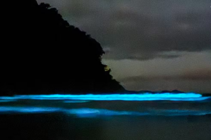 Praia de SP ficou com mar azul fluorescente; entenda o fenômeno