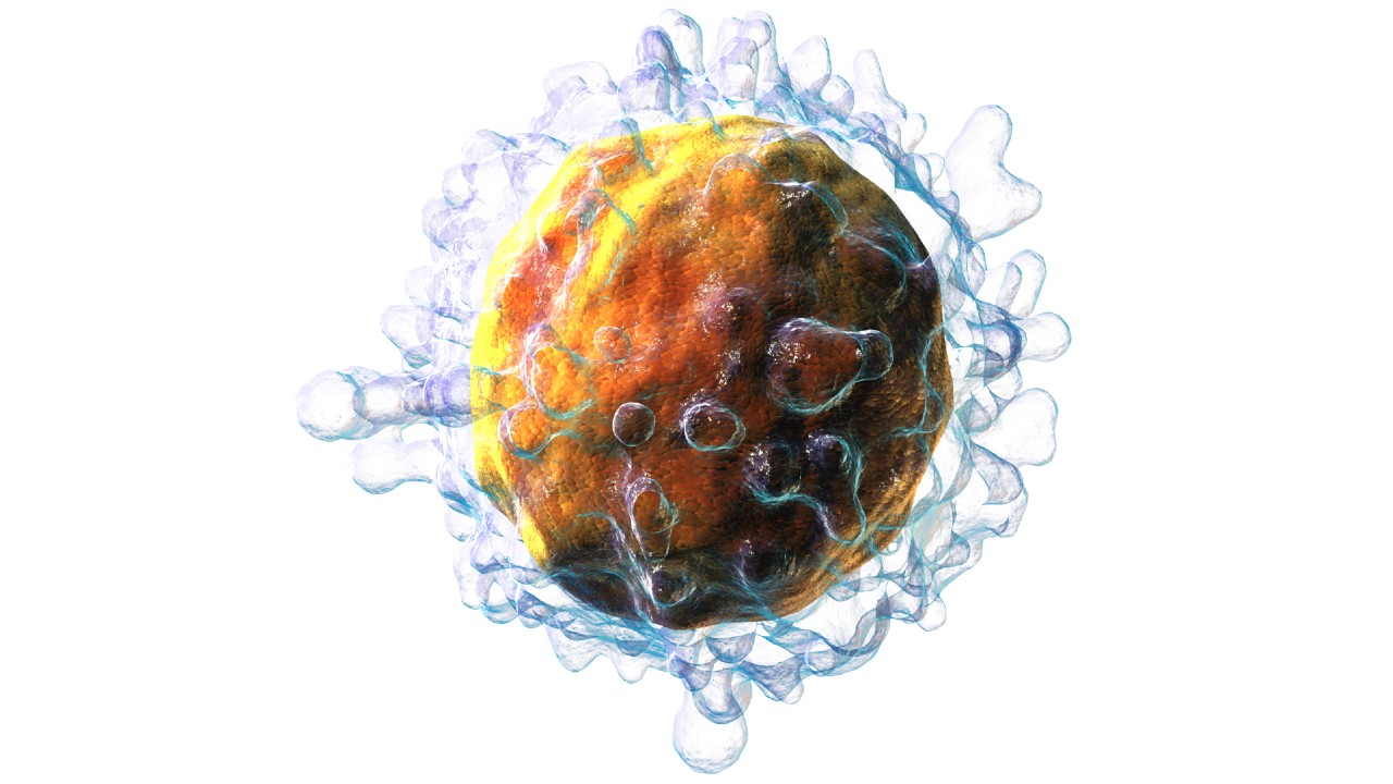 Nova Modificação Aumenta Eficácia da Imunoterapia no Combate ao Câncer Hematológico