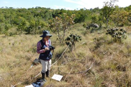 Indicadores Essenciais para Orientar Projetos de Restauração Ecológica em Campos Naturais e Savanas