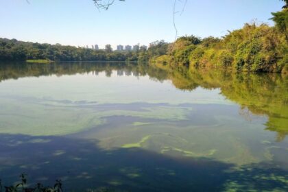 Como um Estudo de Sedimentos Aquáticos Revela um Século de Poluição em São Paulo