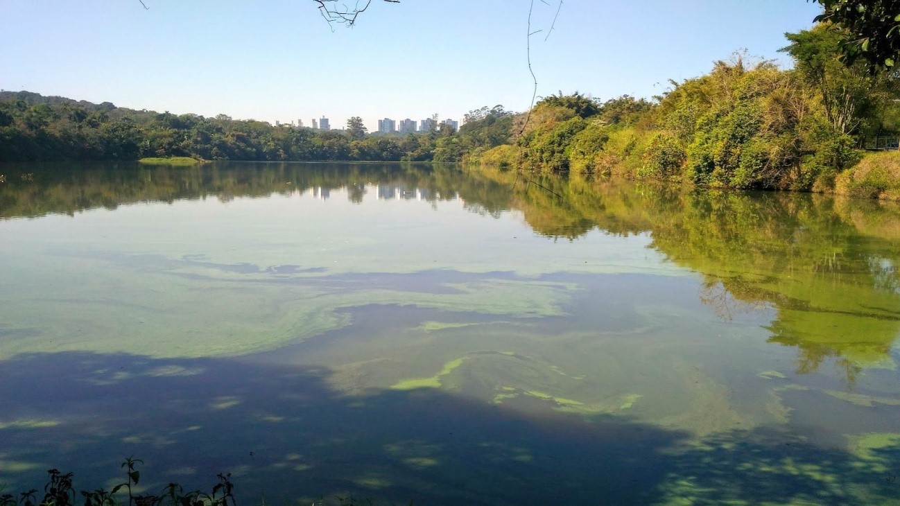 Como um Estudo de Sedimentos Aquáticos Revela um Século de Poluição em São Paulo