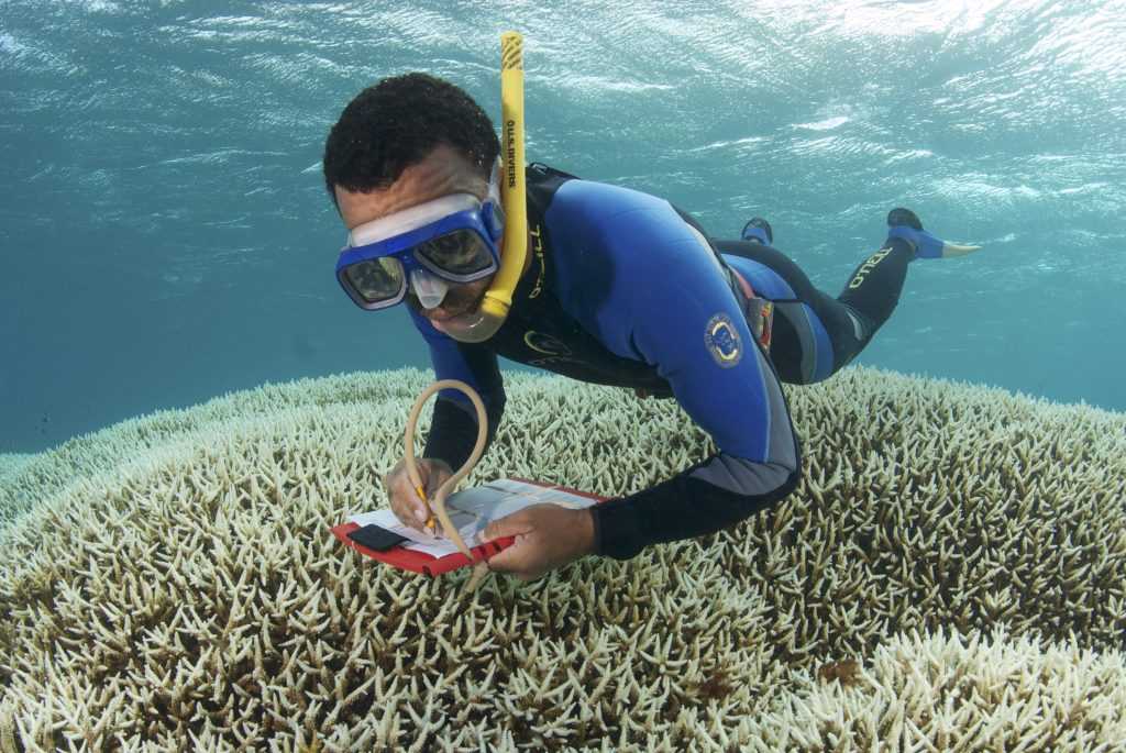 Conferência FAPESP: O Papel do Oceano e da Biodiversidade na Agenda Climática