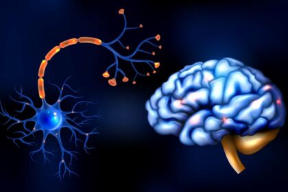 Estudo Experimental: Abordagem Inovadora para Tratar Déficit Respiratório em Modelo Animal da Doença de Parkinson