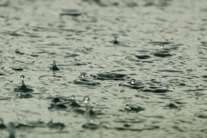 Estudo Revela Presença de Agrotóxicos na Chuva em Três Cidades de São Paulo