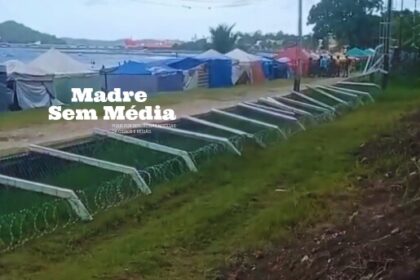 Árvore foi retirada rapidamente; incidente não deixou feridos