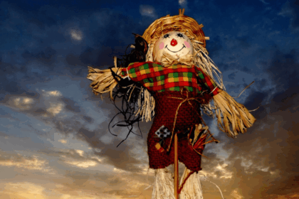 Espantalhos realmente funcionam nas lavouras?