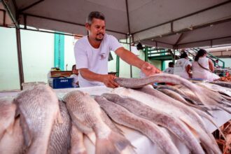Feira do Peixe em Camaçari na próxima semana