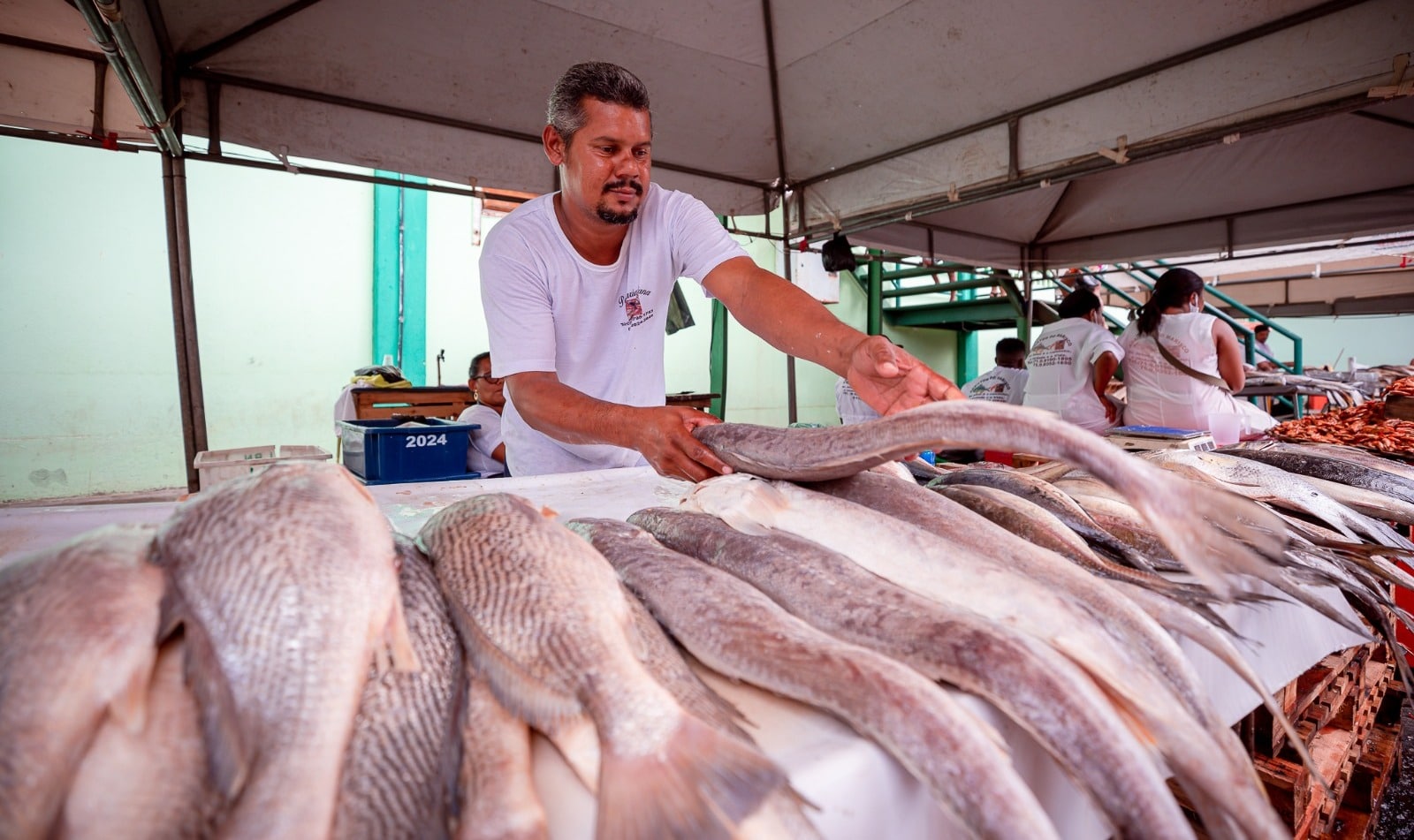 Feira do Peixe em Camaçari na próxima semana