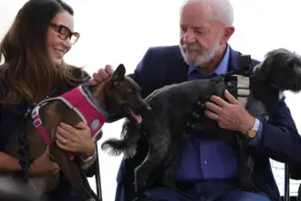 Lula lança programa de identificação e proteção de cães e gatos
