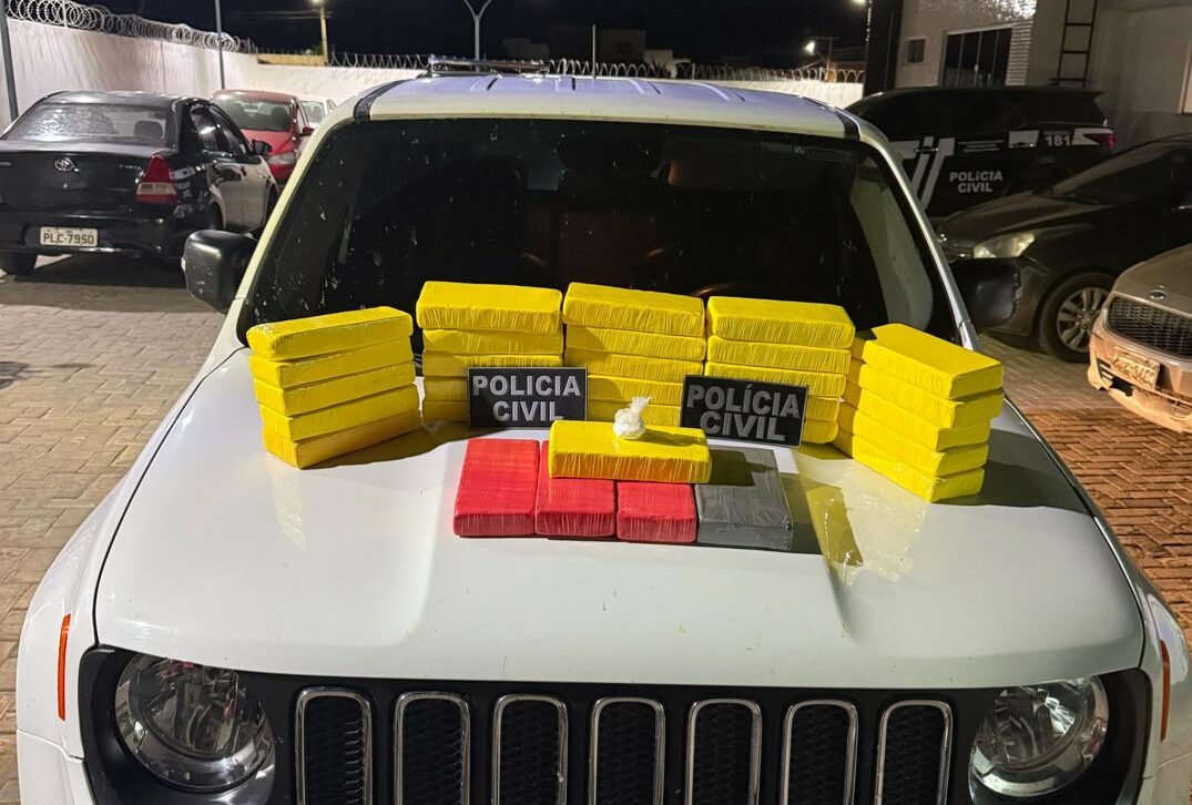 Polícia prende homem com 30 kg de cocaína avaliada em R$ 1,2 mi