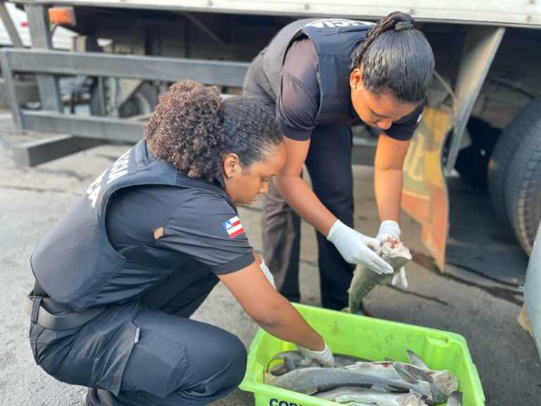 Operação apreende pescados impróprios e armas em feiras de Salvador