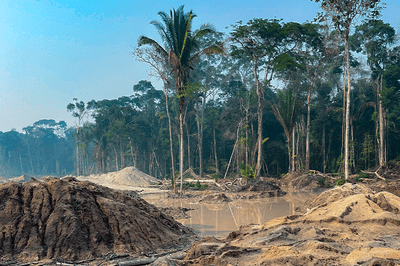 Operação conjunta combate garimpo ilegal no Parque Nacional dos Campos Amazônicos