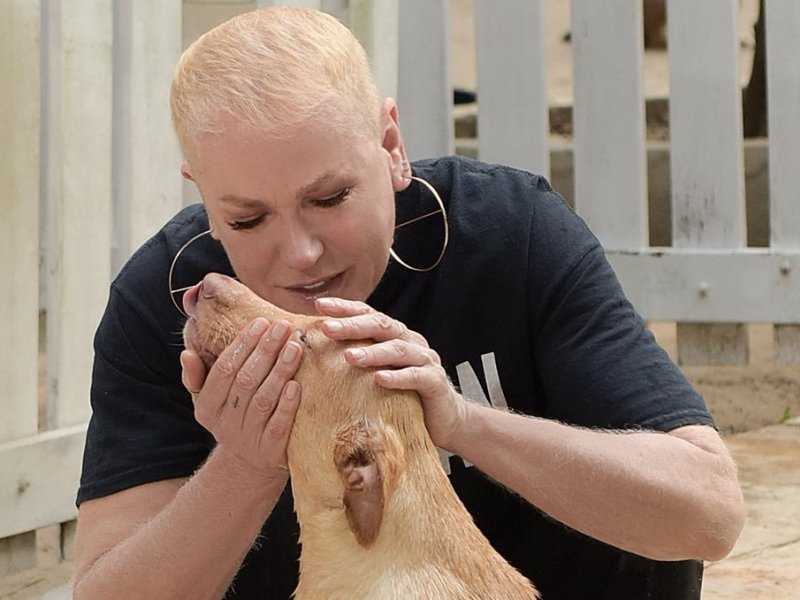 Xuxa Meneghel Alimenta Morcegos em Casa: Surpreendente Revelação!