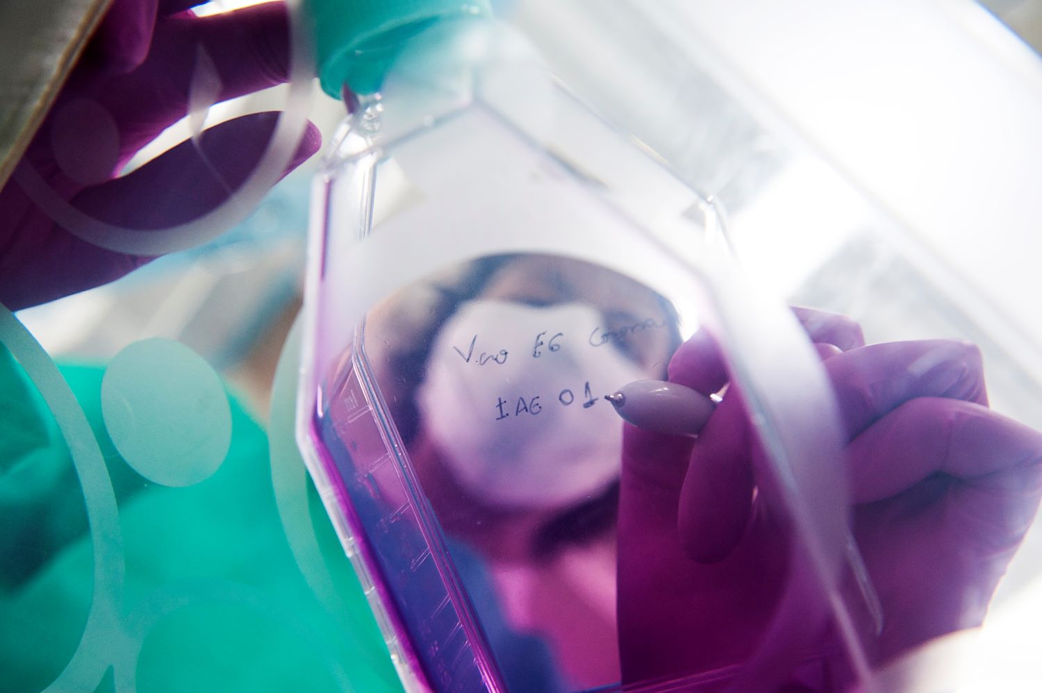 FAPESP Abre Chamada para Atração de Pesquisadores Internacionais em São Paulo