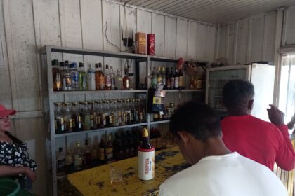 Análise da Prevalência de Infecções Sexualmente Transmissíveis na Principal Área de Garimpo do Brasil