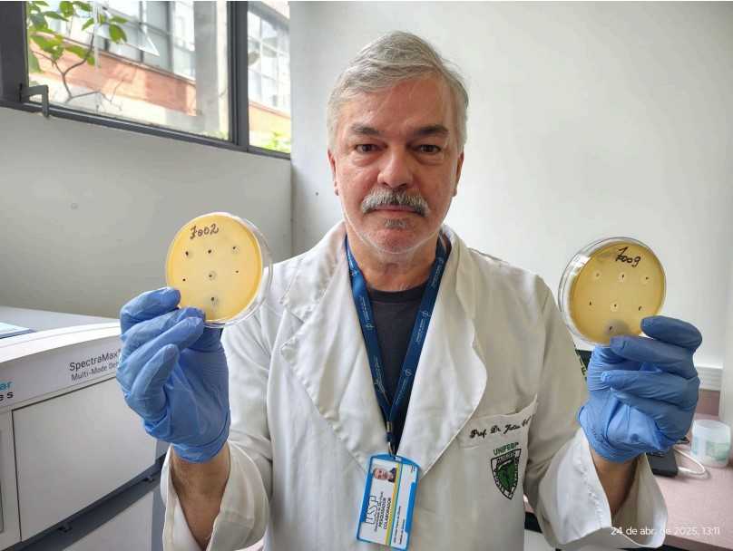 Descobertos 62 Novos Vírus com Potencial para Controle Biológico: Avanços da Ciência