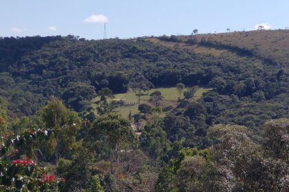 Ferramenta Inova ao Identificar Áreas Ecologicamente Equivalentes para Restauração de Ecossistemas