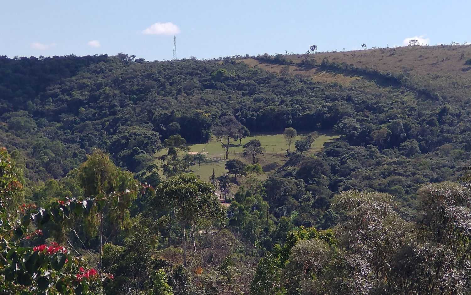Ferramenta Inova ao Identificar Áreas Ecologicamente Equivalentes para Restauração de Ecossistemas