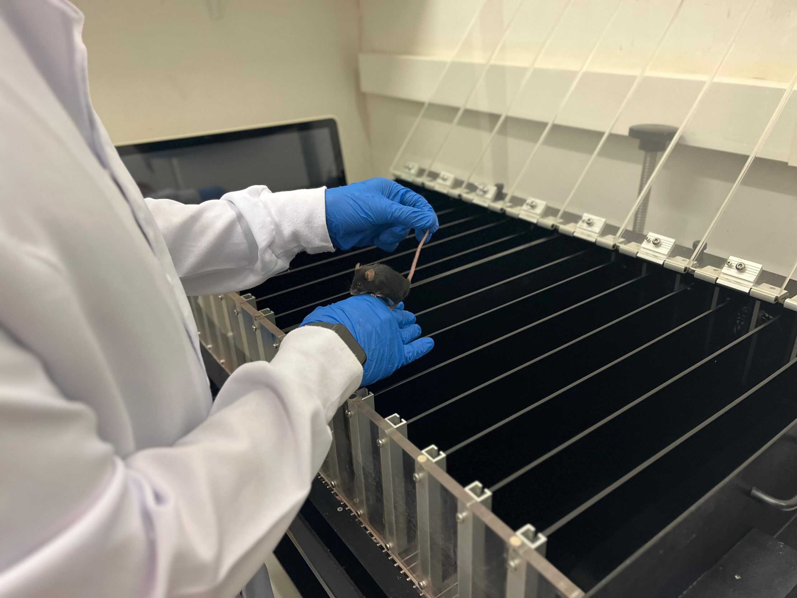 Overtraining: Entenda a Causa dos Sintomas do Excesso de Exercício Físico