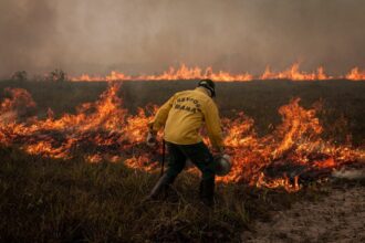 Aumento de 163% na Degradação da Amazônia em Dois Anos, Enquanto Desmatamento Registra Queda de 54%