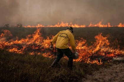 Aumento de 163% na Degradação da Amazônia em Dois Anos, Enquanto Desmatamento Registra Queda de 54%