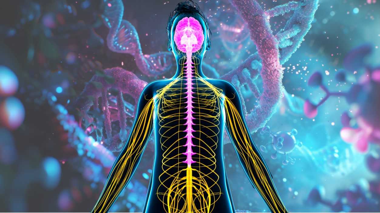 Mecanismo Molecular Revelado: Potencial Avanço no Tratamento da Doença de Huntington