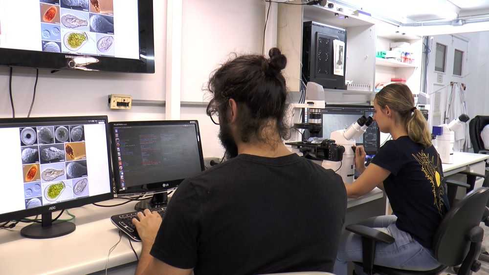 FAPESP Lança Iniciativa para Combater Evasão no Ensino Superior e Incentivar Participação em Pesquisa