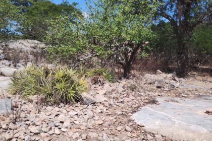 Memórias do Sertão Nordestino: Secas e Abundâncias na Perspectiva de Antigos Moradores