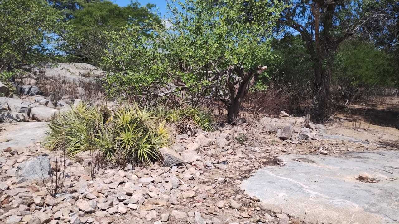 Memórias do Sertão Nordestino: Secas e Abundâncias na Perspectiva de Antigos Moradores