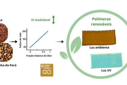 Óleos Vegetais: Solução Sustentável e Durável para Produção de Bioplásticos