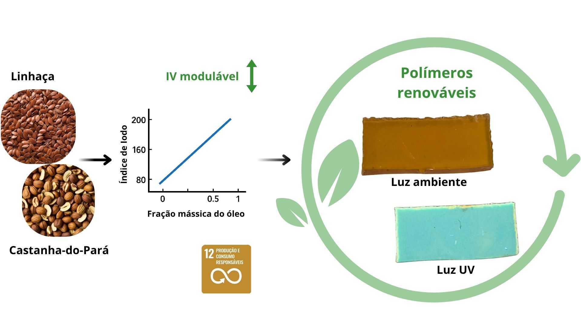 Óleos Vegetais: Solução Sustentável e Durável para Produção de Bioplásticos