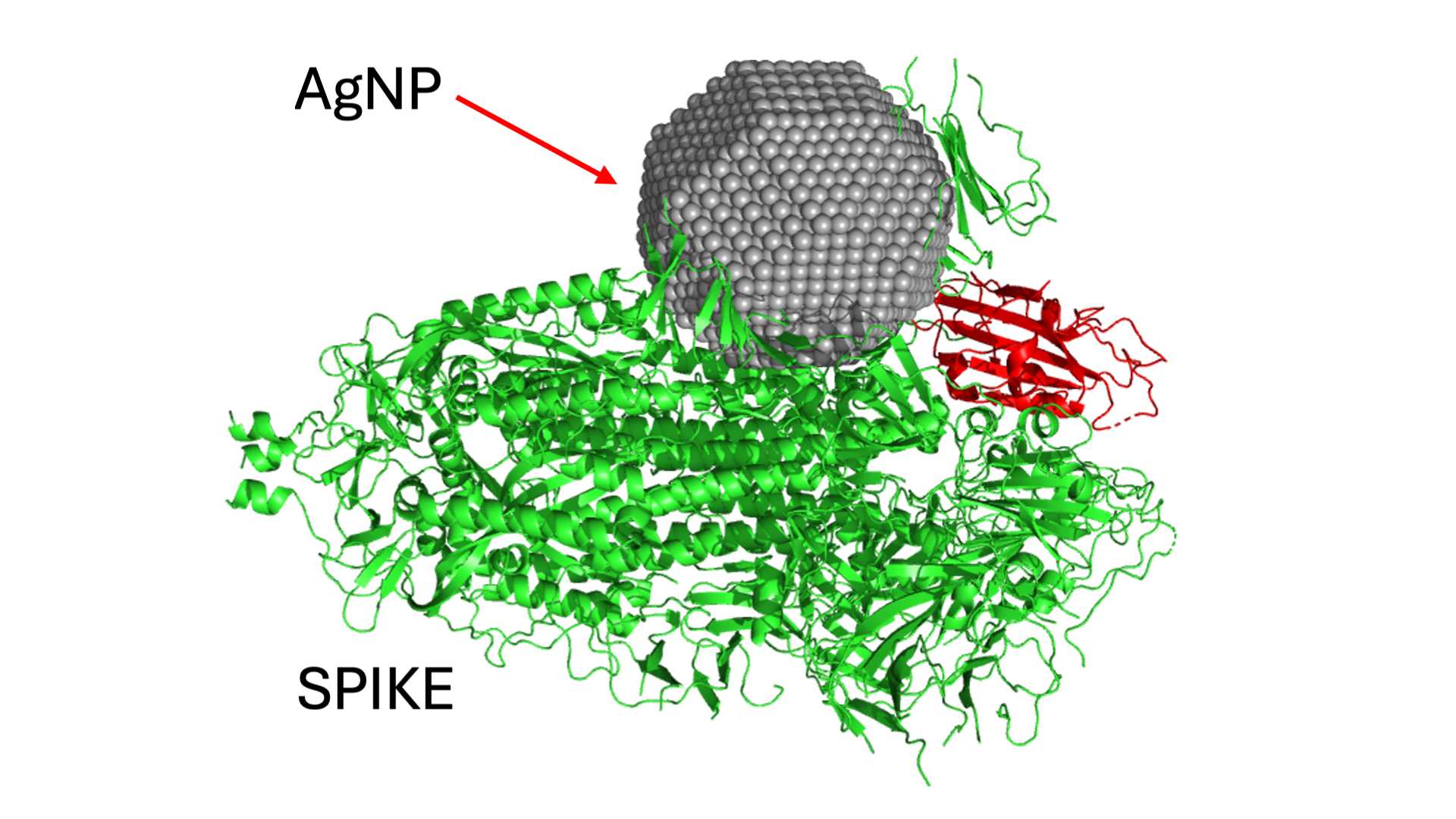 Uso de Nanopartículas de Prata Produzidas por Fungos na Prevenção e Tratamento da COVID-19