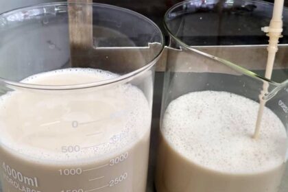 Future Cow: Produção de Proteínas do Leite Sem Vacas Através de Tecnologia Inovadora